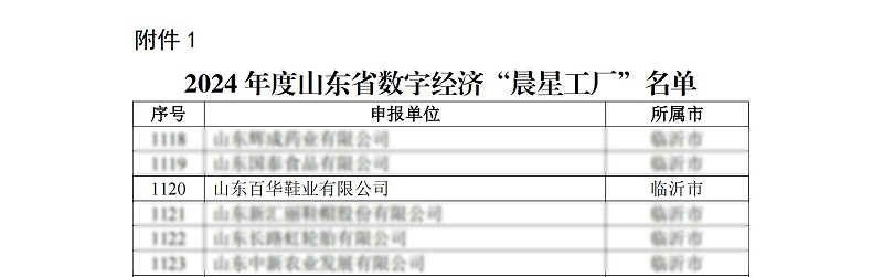 關于公布2024年度山東省數字經濟“晨星工廠”名單的通知_02